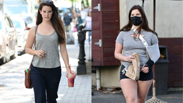 Lana Del Rey Weight Gain Before After